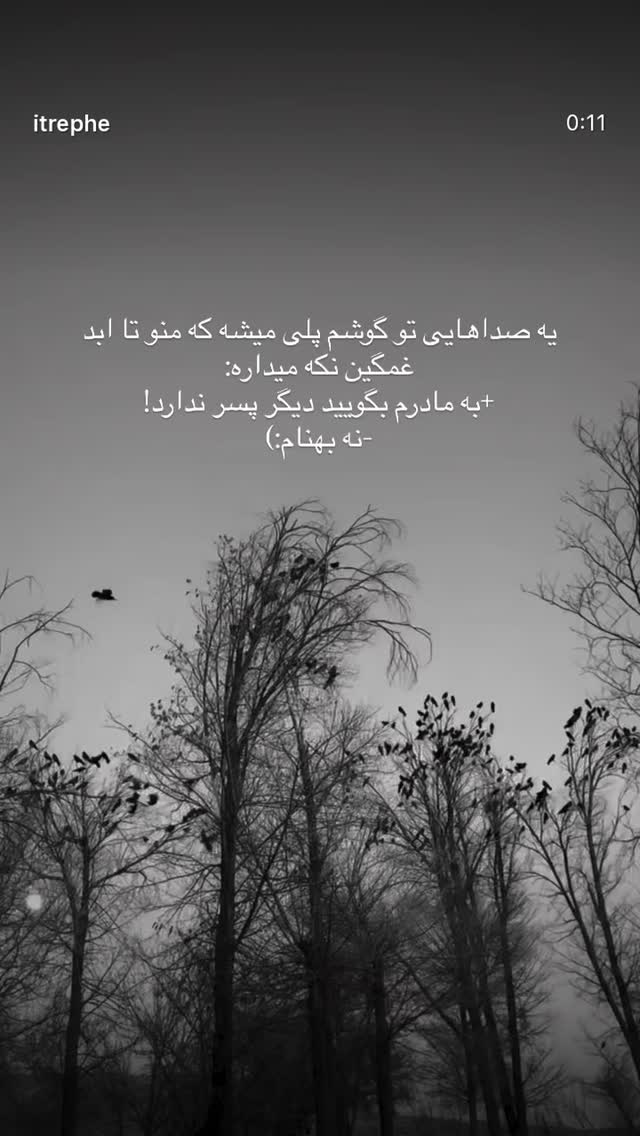  جدید ترین استوری اینستاگرام پریسا خبیر