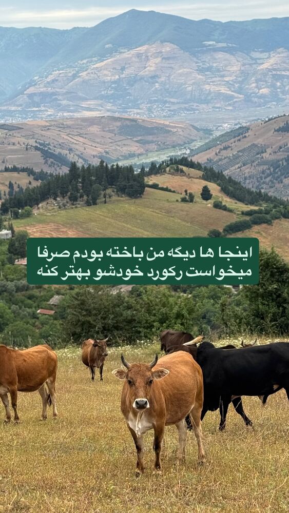  جدید ترین استوری اینستاگرام ابوطالب حسینی