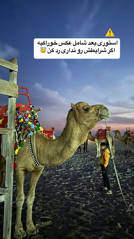  جدید ترین استوری اینستاگرام academy_tarbiyat