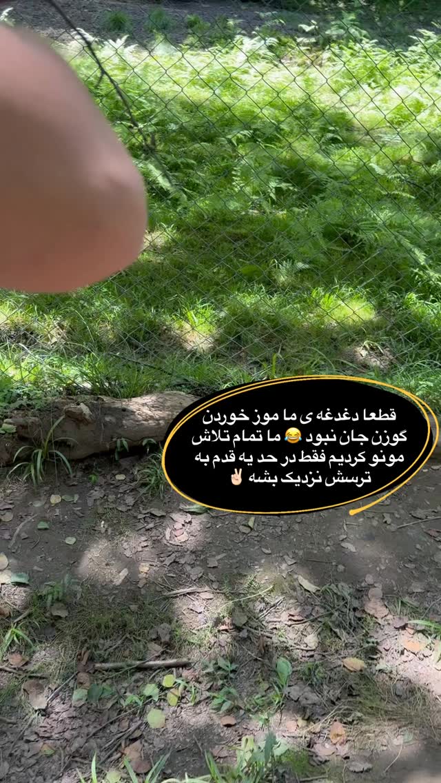  جدید ترین استوری اینستاگرام academy_tarbiyat