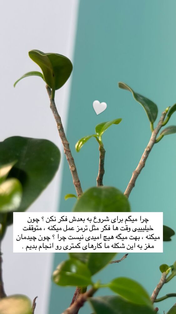  جدید ترین استوری اینستاگرام academy_tarbiyat