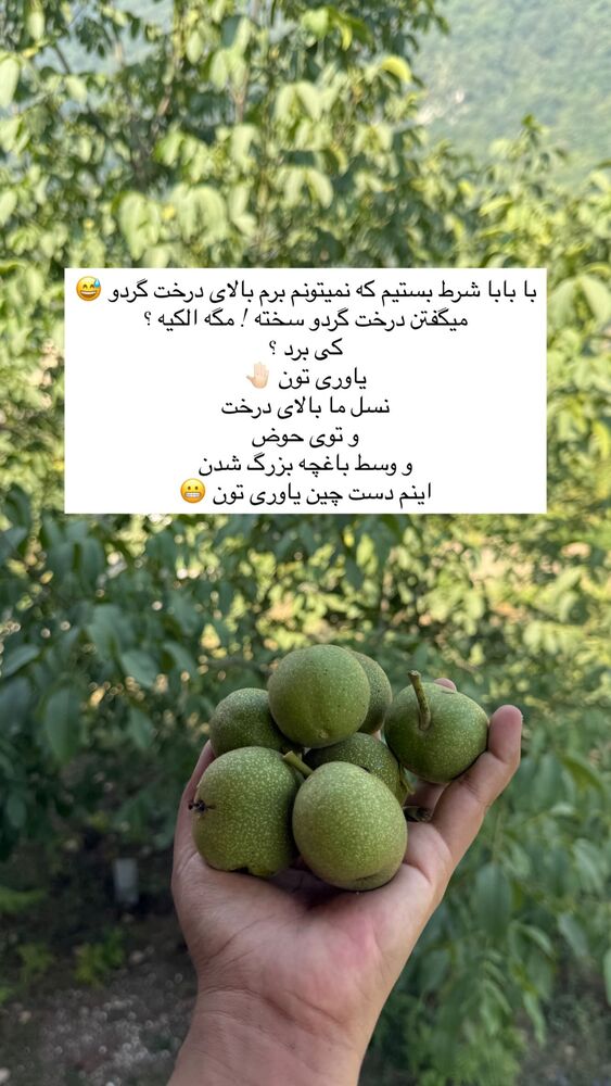  جدید ترین استوری اینستاگرام academy_tarbiyat
