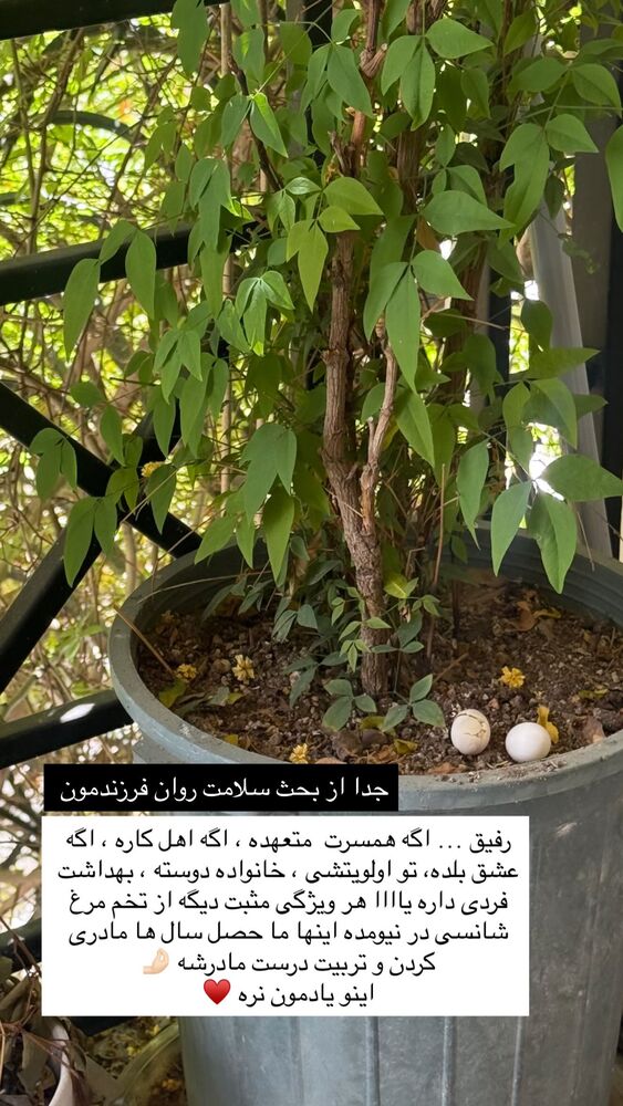  جدید ترین استوری اینستاگرام academy_tarbiyat