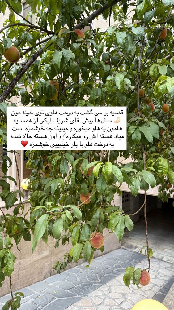  جدید ترین استوری اینستاگرام academy_tarbiyat