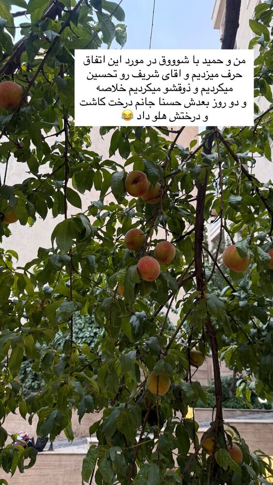  جدید ترین استوری اینستاگرام academy_tarbiyat