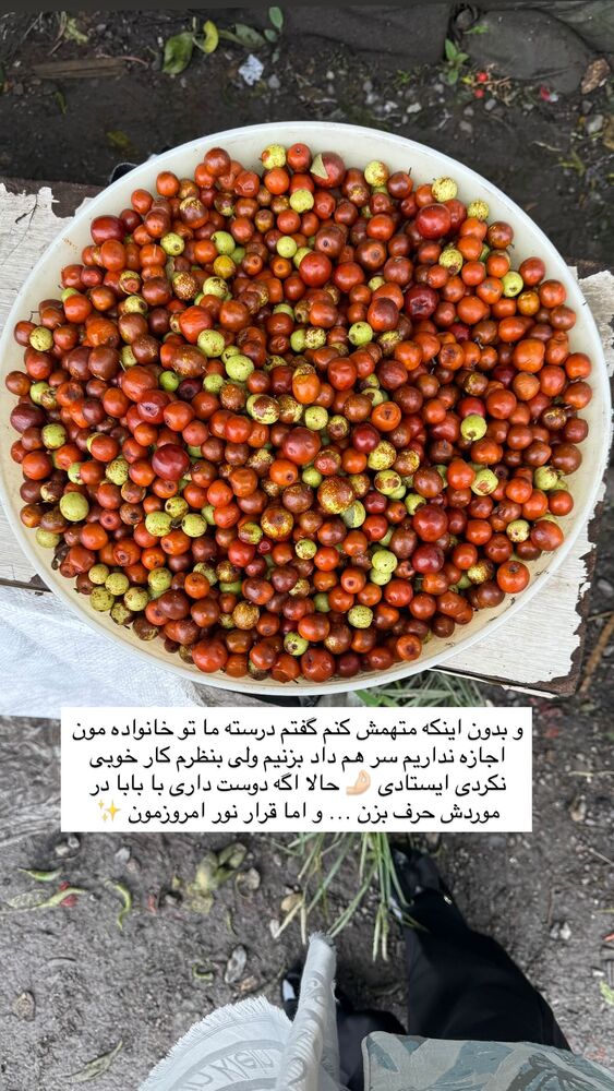 جدید ترین استوری اینستاگرام academy_tarbiyat