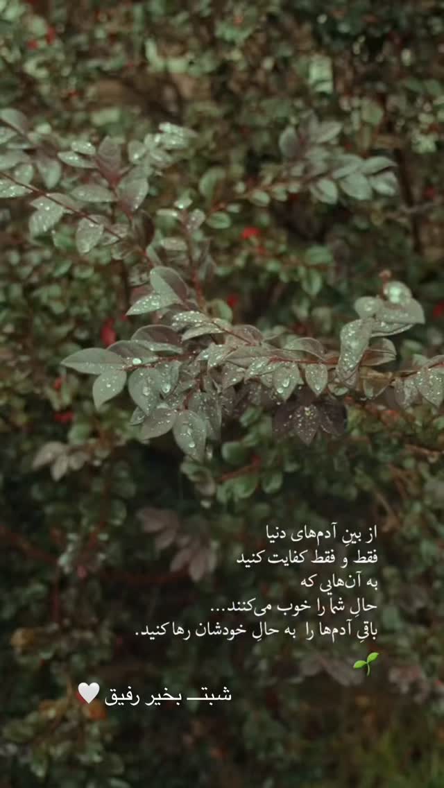  جدید ترین استوری اینستاگرام academy_tarbiyat