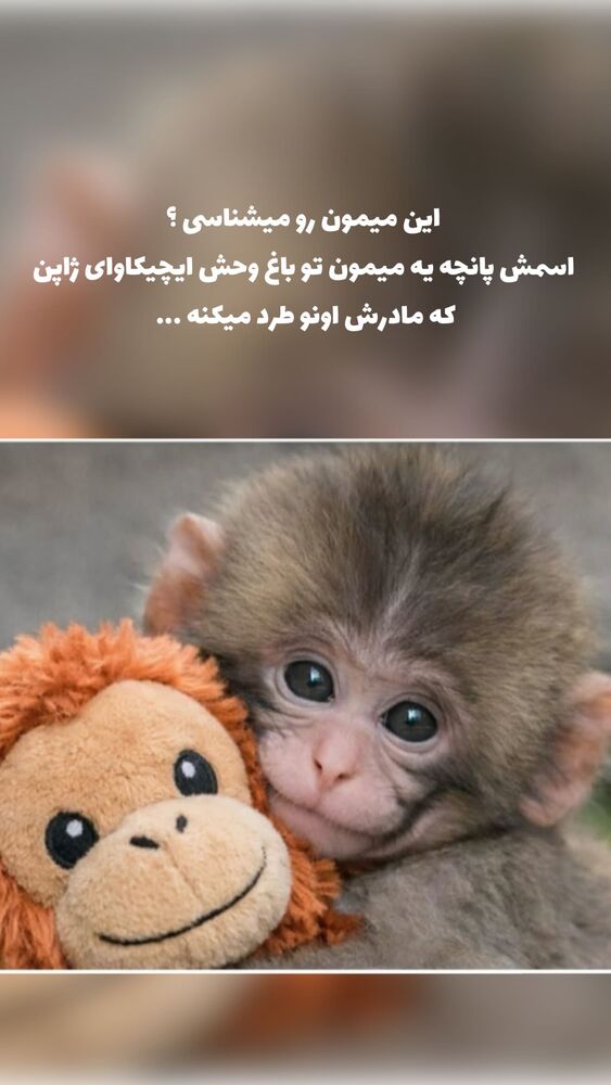  جدید ترین استوری اینستاگرام academy_tarbiyat