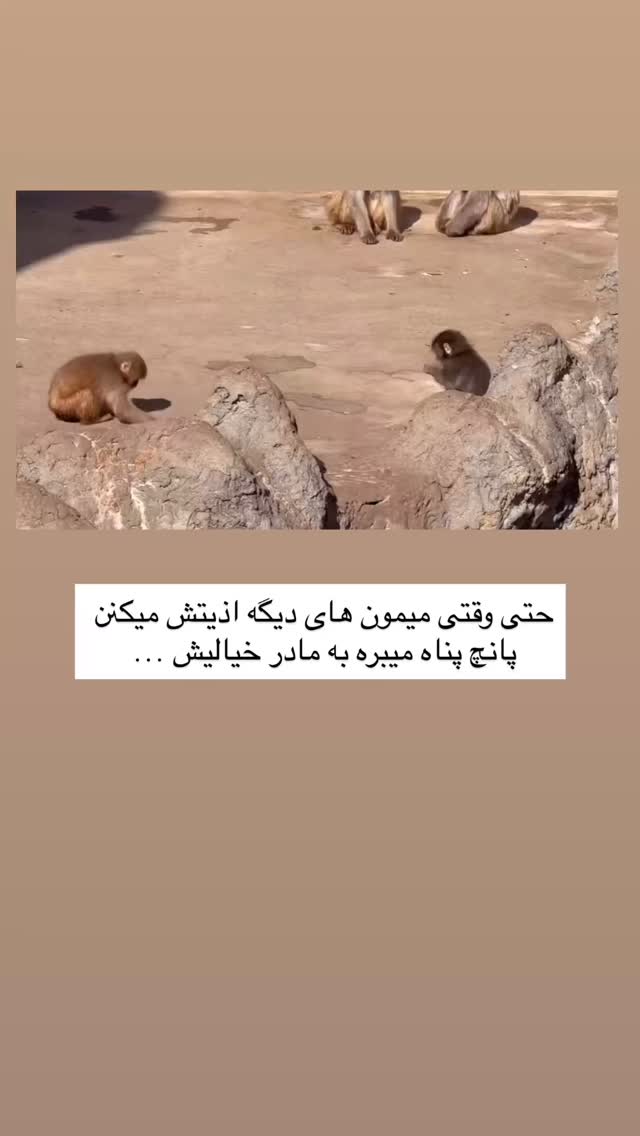  جدید ترین استوری اینستاگرام academy_tarbiyat