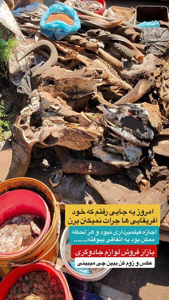  جدید ترین استوری اینستاگرام احمدرضا