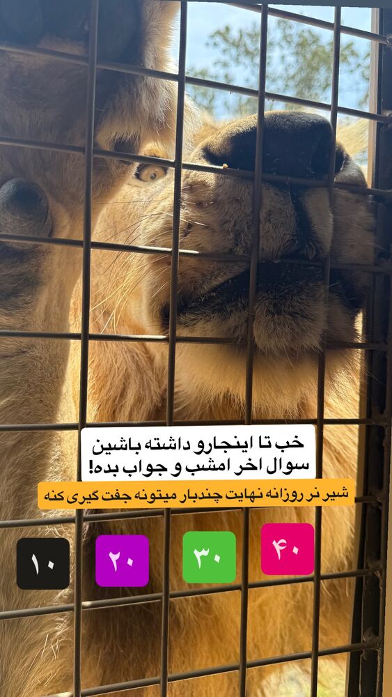  جدید ترین استوری اینستاگرام احمدرضا