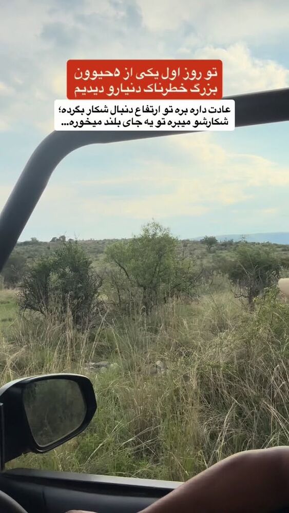  جدید ترین استوری اینستاگرام احمدرضا