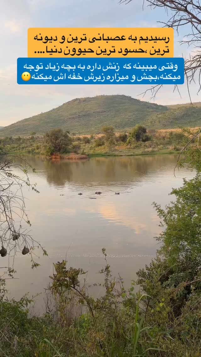  جدید ترین استوری اینستاگرام احمدرضا