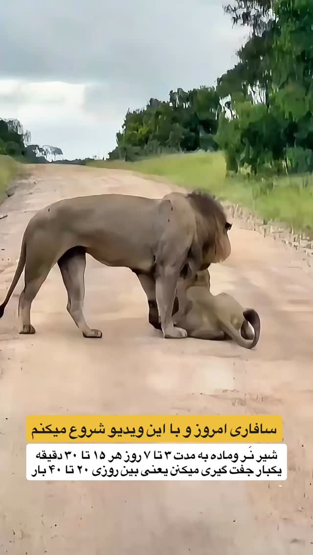  جدید ترین استوری اینستاگرام احمدرضا