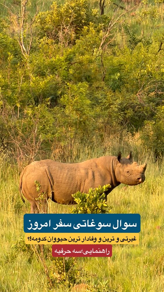  جدید ترین استوری اینستاگرام احمدرضا