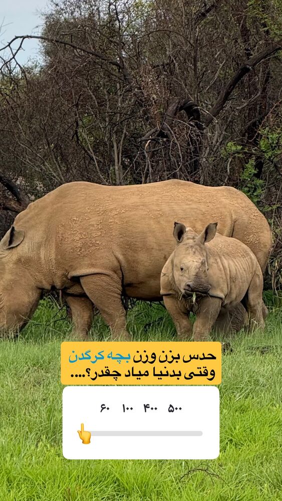  جدید ترین استوری اینستاگرام احمدرضا