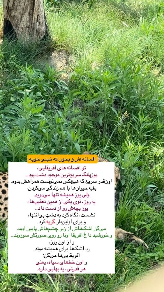  جدید ترین استوری اینستاگرام احمدرضا