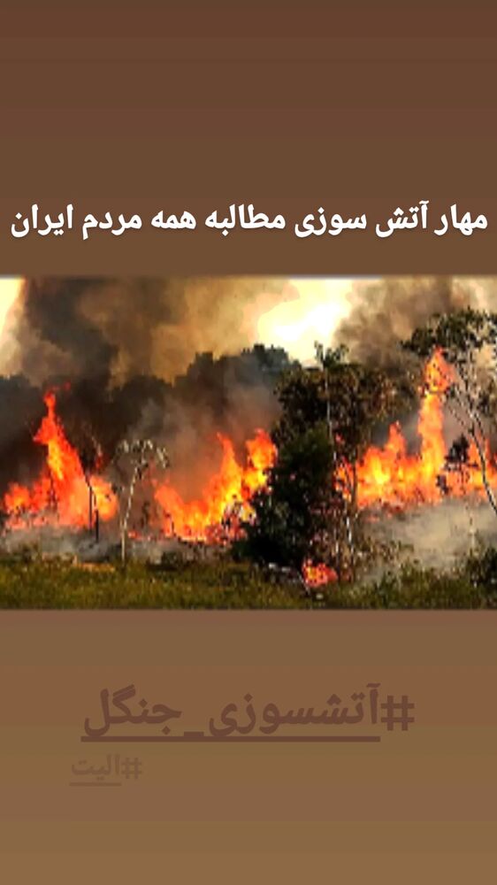  جدید ترین استوری اینستاگرام افسانه حسامی فر