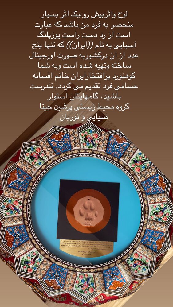  جدید ترین استوری اینستاگرام افسانه حسامی فر