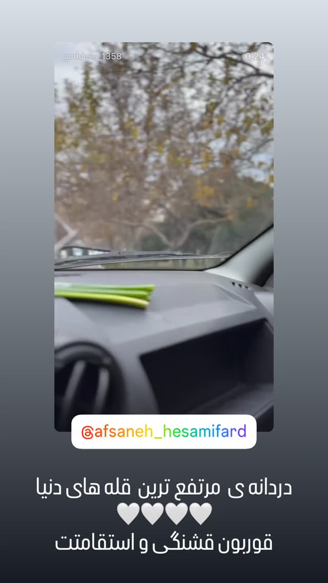  جدید ترین استوری اینستاگرام افسانه حسامی فر