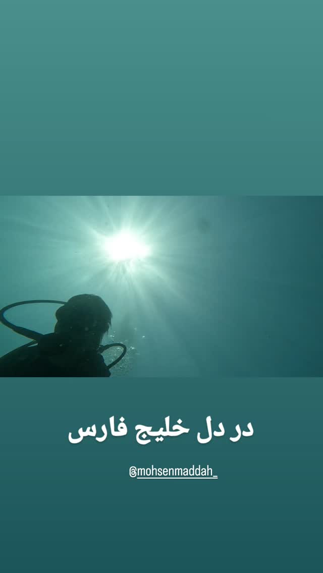  جدید ترین استوری اینستاگرام افسانه حسامی فر