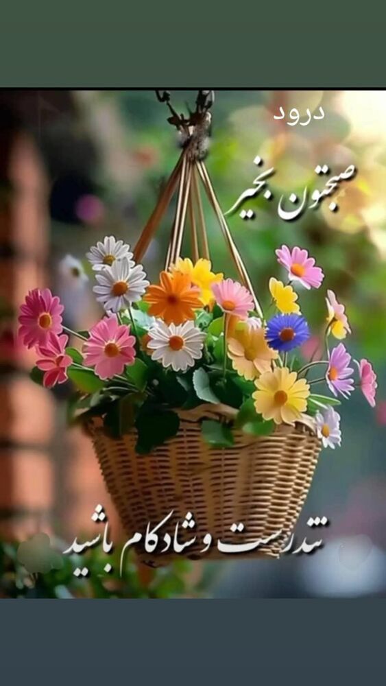  جدید ترین استوری اینستاگرام افسانه نعمت ناصر