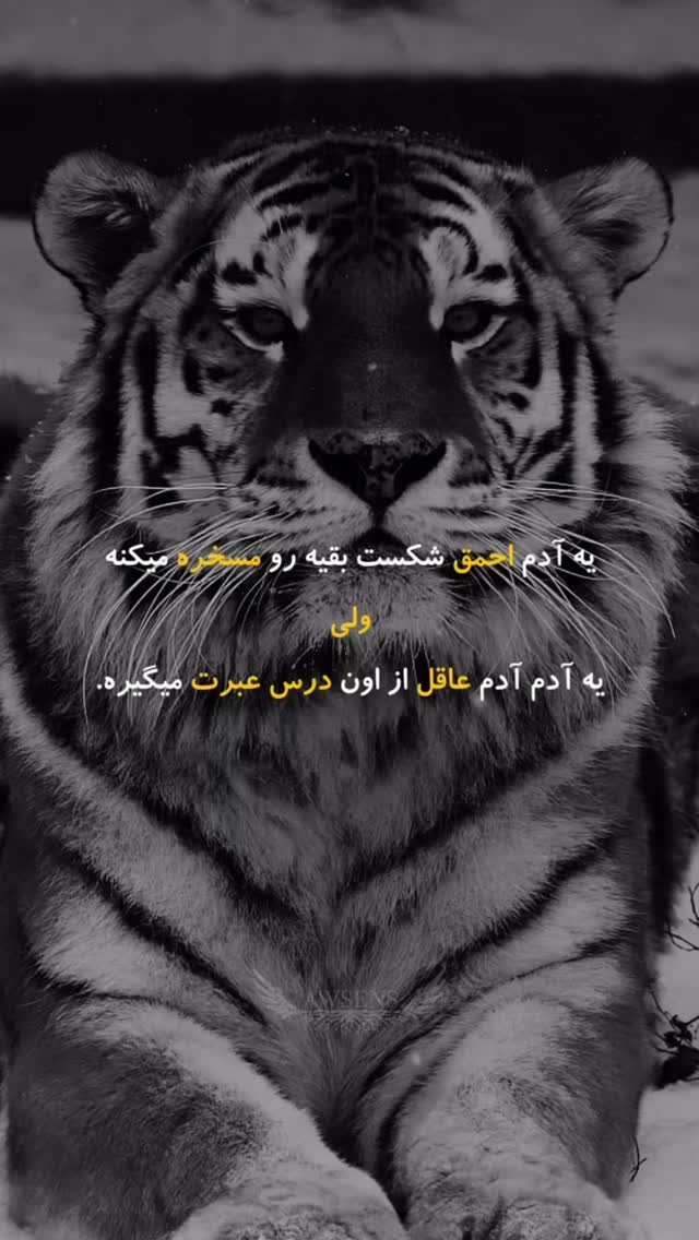  جدید ترین استوری اینستاگرام افشین فدام