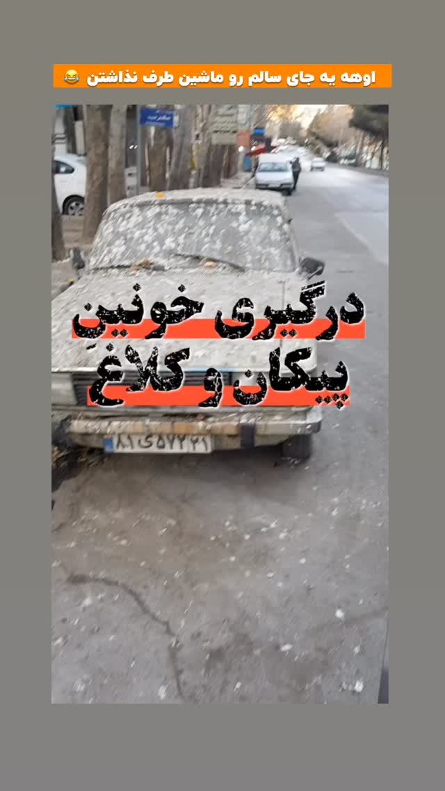  جدید ترین استوری اینستاگرام افشین فدام