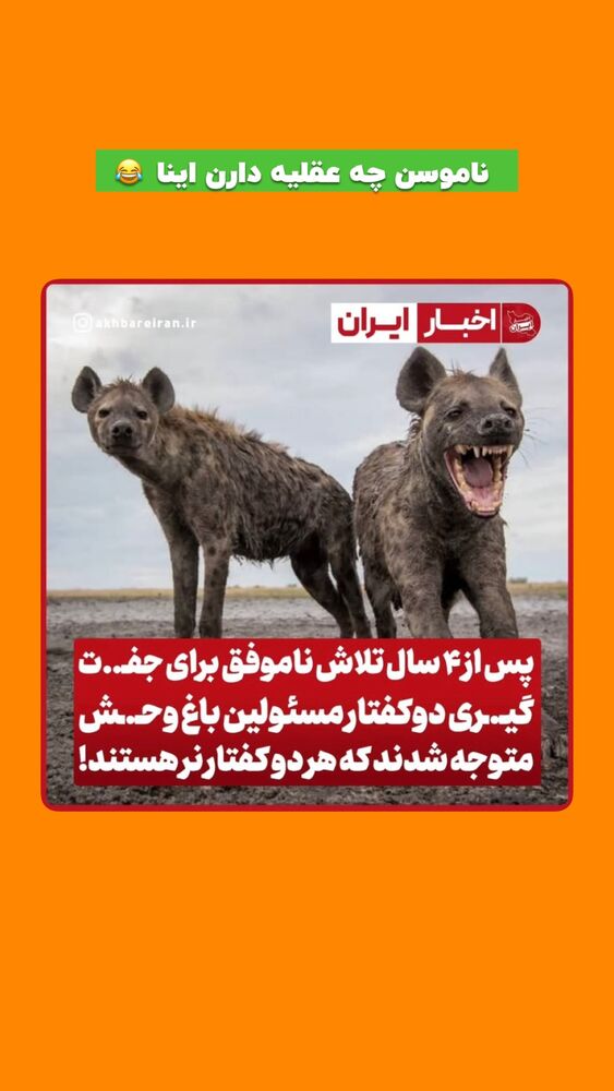  جدید ترین استوری اینستاگرام افشین فدام