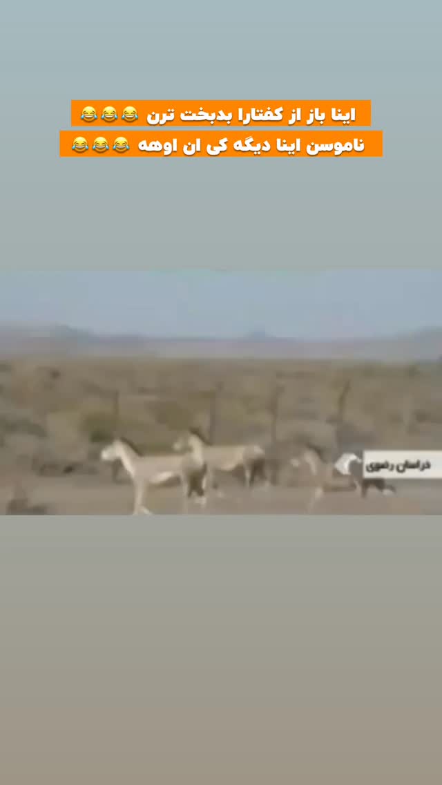  جدید ترین استوری اینستاگرام افشین فدام