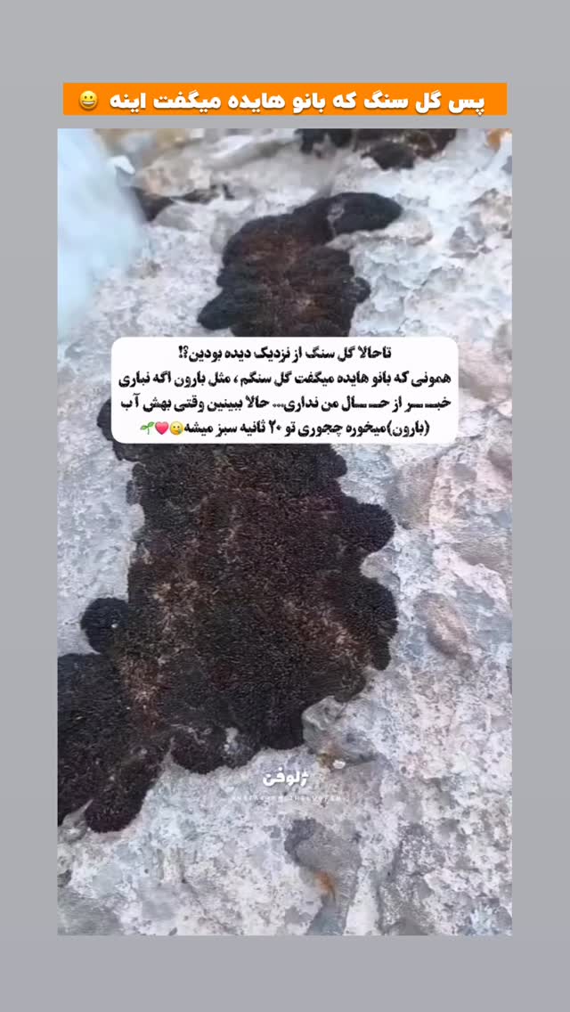  جدید ترین استوری اینستاگرام افشین فدام