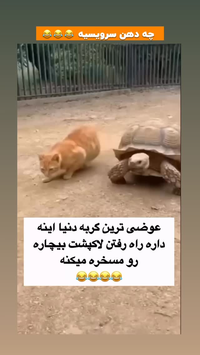  جدید ترین استوری اینستاگرام افشین فدام