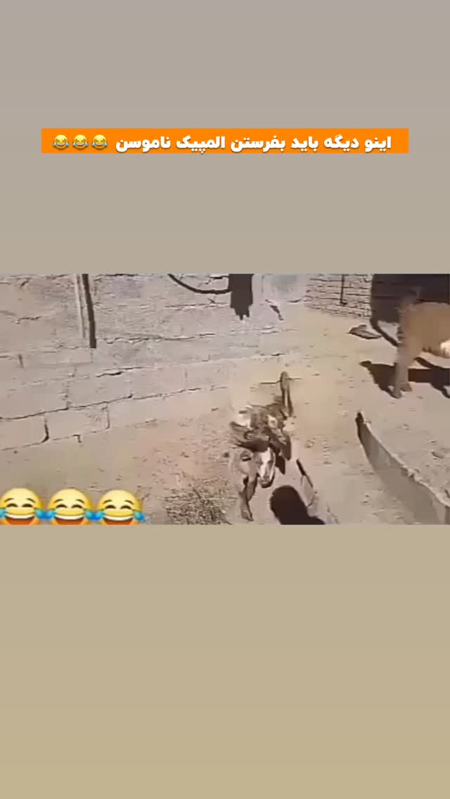  جدید ترین استوری اینستاگرام افشین فدام