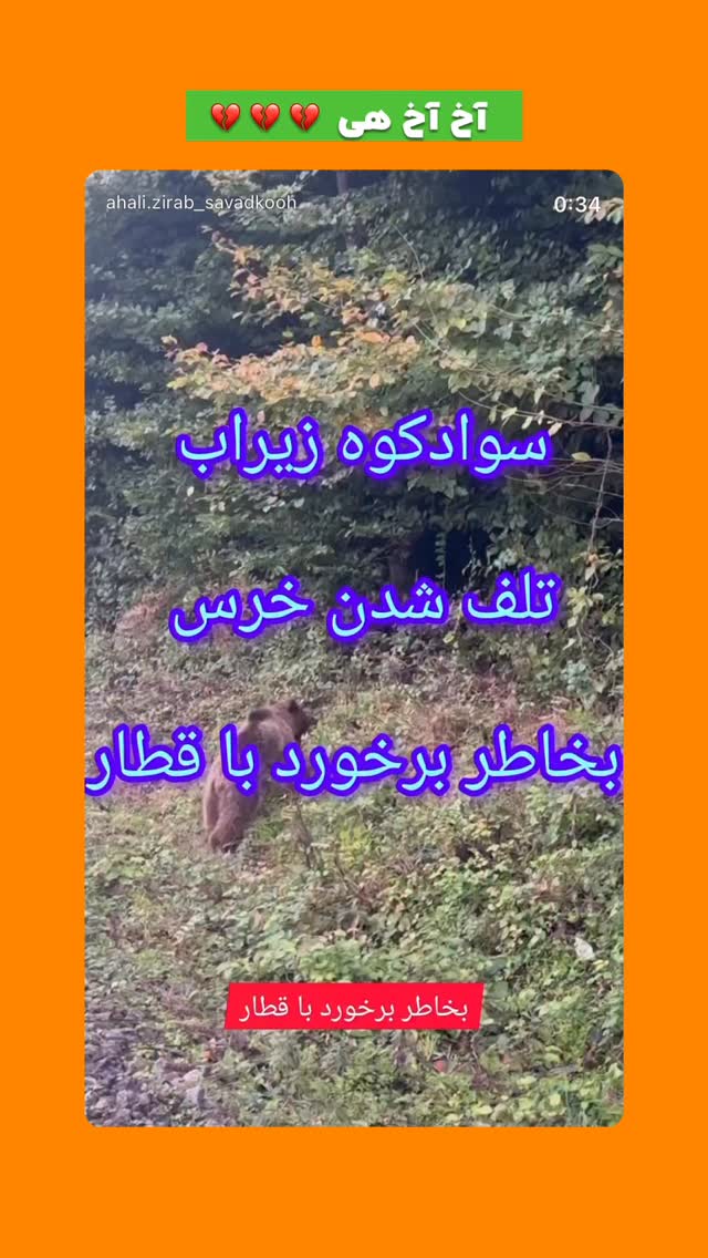  جدید ترین استوری اینستاگرام افشین فدام