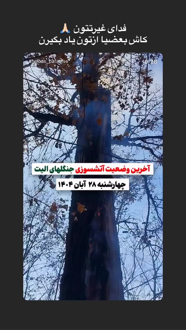  جدید ترین استوری اینستاگرام افشین فدام