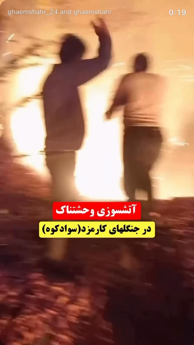  جدید ترین استوری اینستاگرام افشین فدام