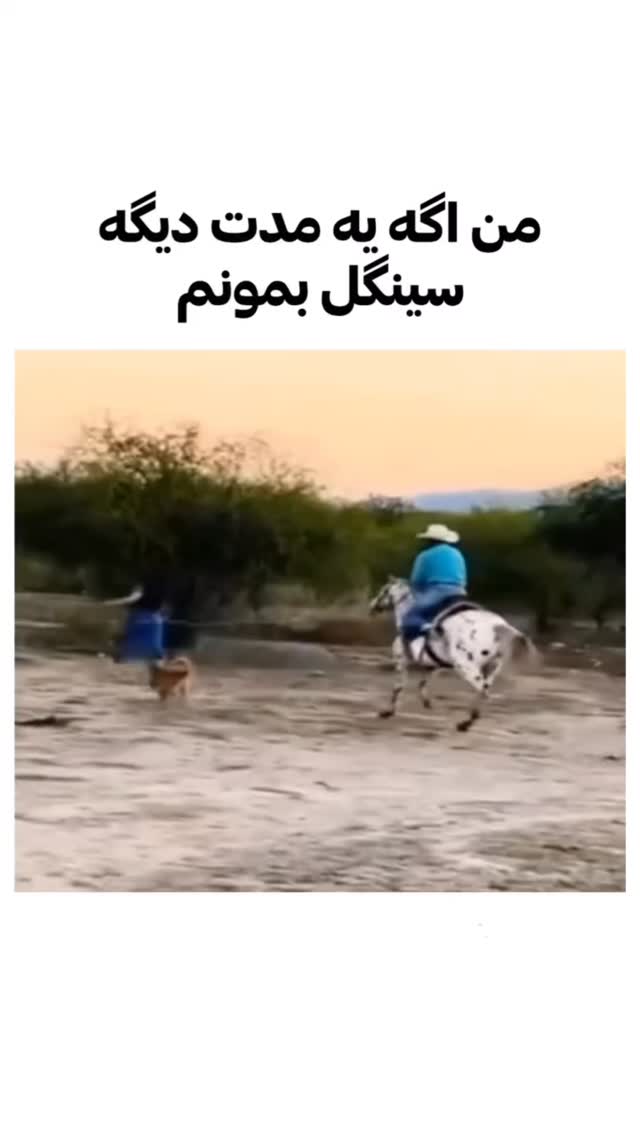 جدید ترین استوری اینستاگرام افشین ثریا