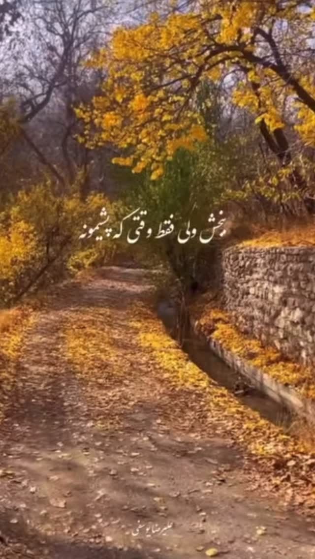  جدید ترین استوری اینستاگرام احمد ایراندوست