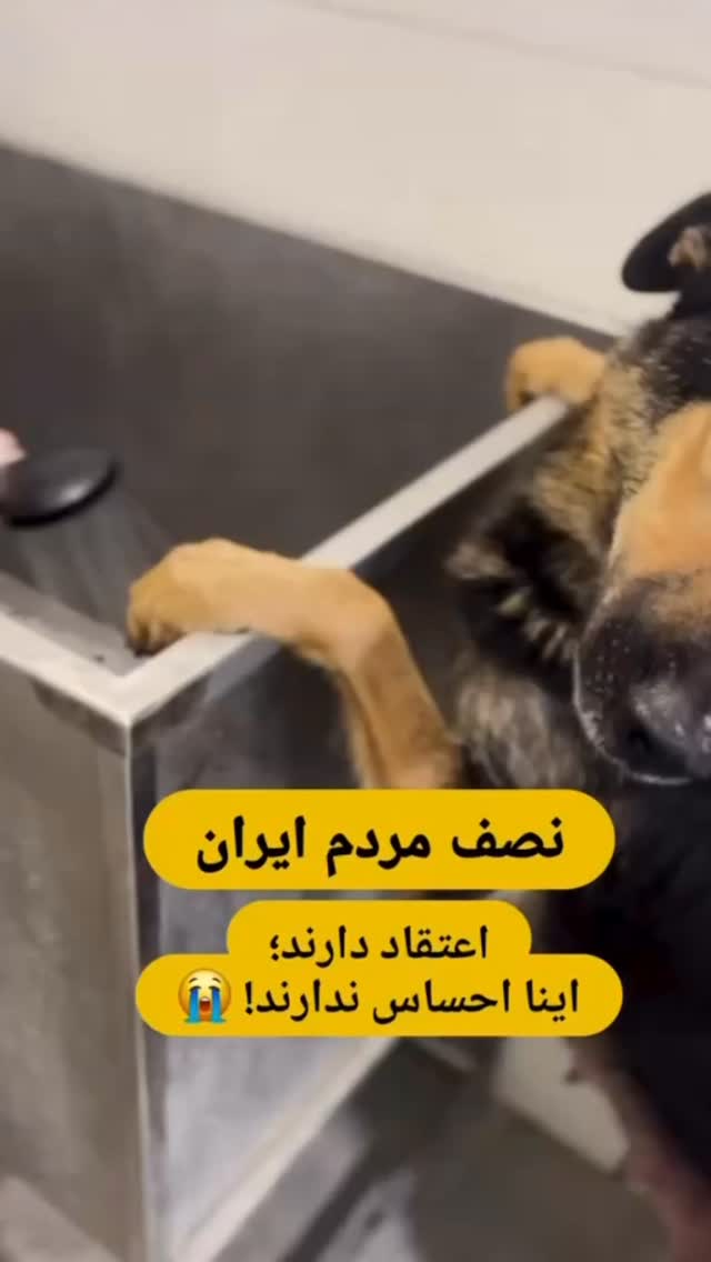  جدید ترین استوری اینستاگرام احمد ایراندوست
