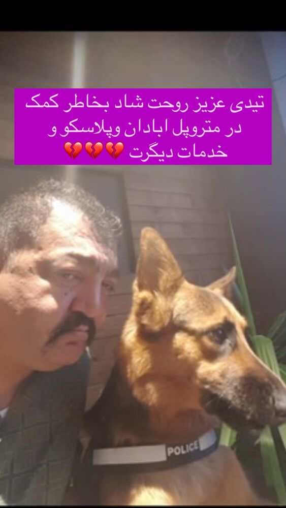  جدید ترین استوری اینستاگرام احمد ایراندوست