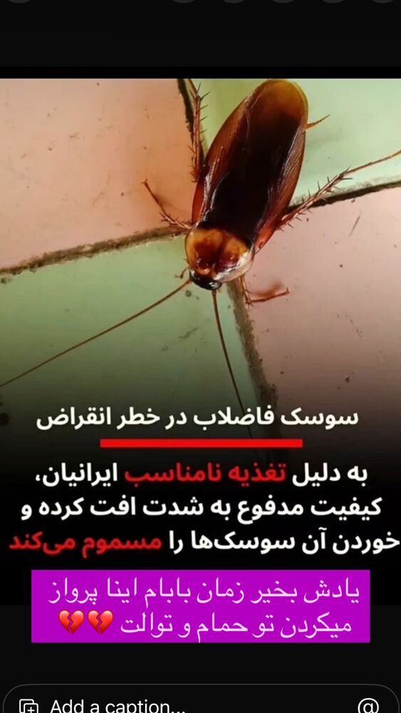  جدید ترین استوری اینستاگرام احمد ایراندوست