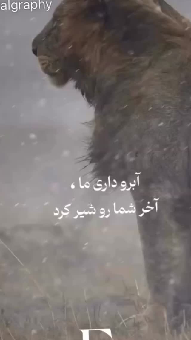  جدید ترین استوری اینستاگرام احمد ایراندوست
