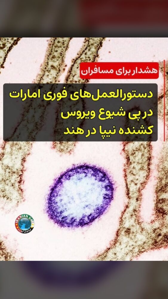  جدید ترین استوری اینستاگرام احمد ایراندوست