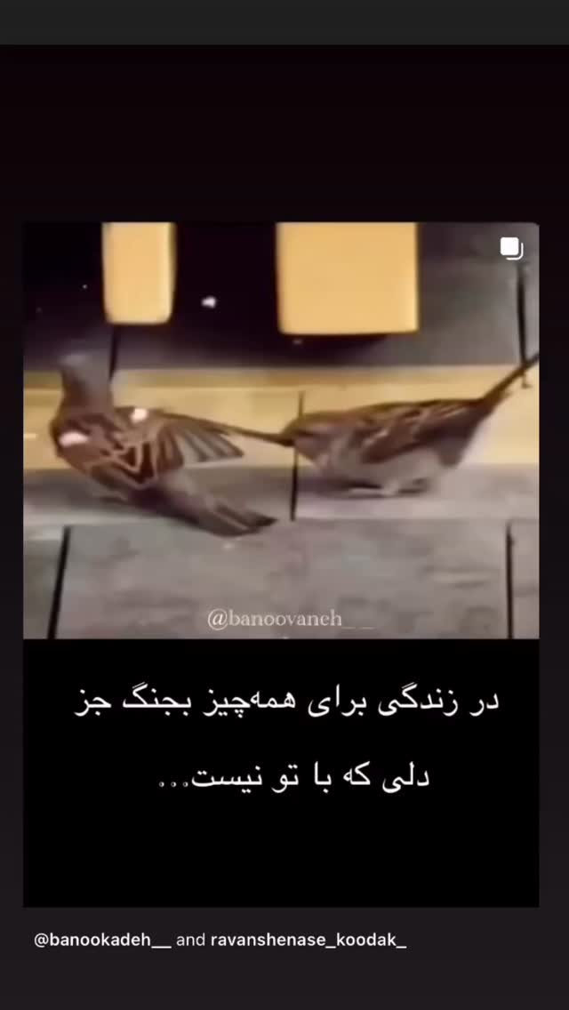  جدید ترین استوری اینستاگرام احمد ایراندوست