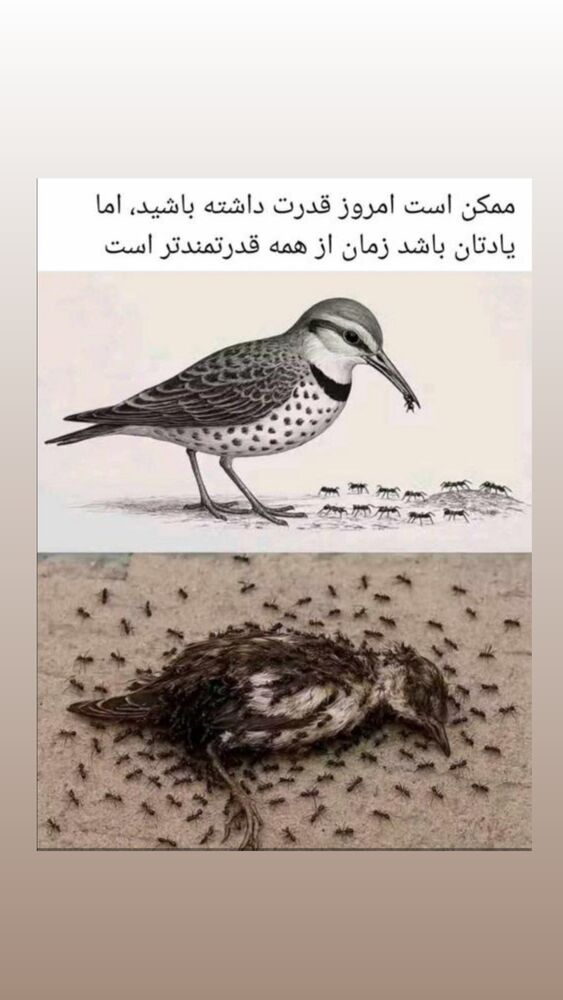  جدید ترین استوری اینستاگرام احمد رضا نیشابور