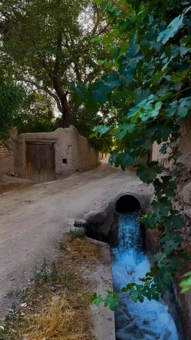  جدید ترین استوری اینستاگرام احمد رضا نیشابور