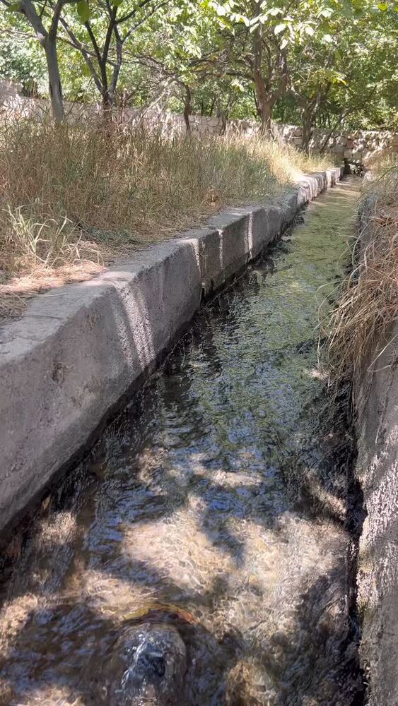  جدید ترین استوری اینستاگرام احمد رضا نیشابور