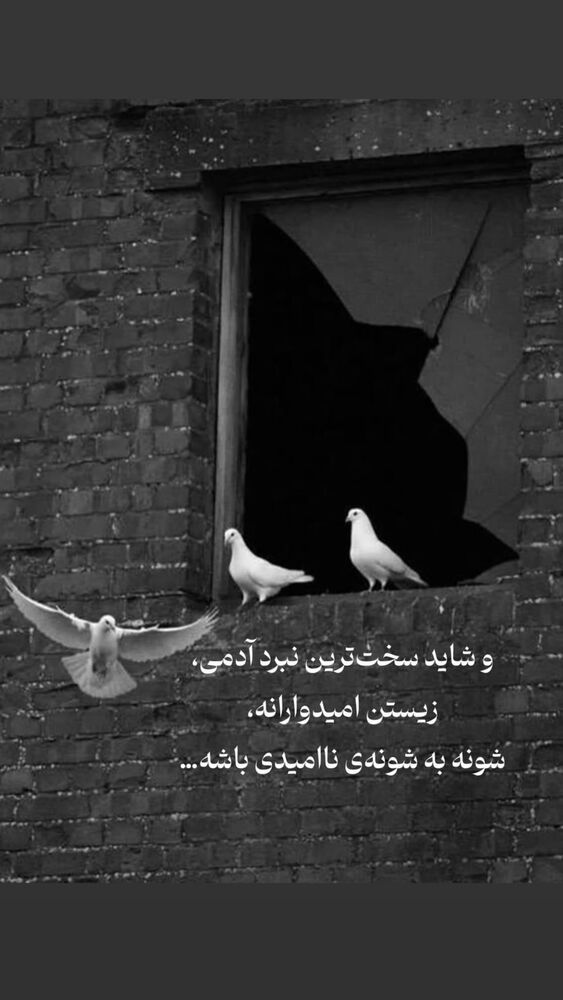  جدید ترین استوری اینستاگرام احمد رضا نیشابور