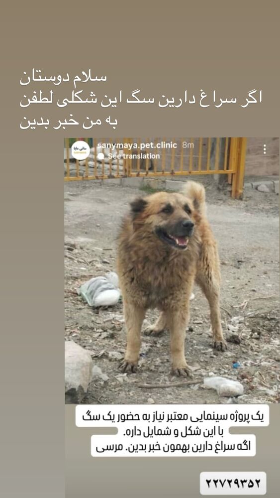  جدید ترین استوری اینستاگرام آیدا ماهیانی