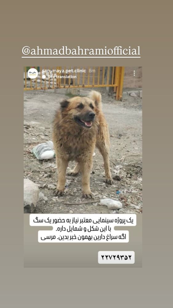  جدید ترین استوری اینستاگرام آیدا ماهیانی